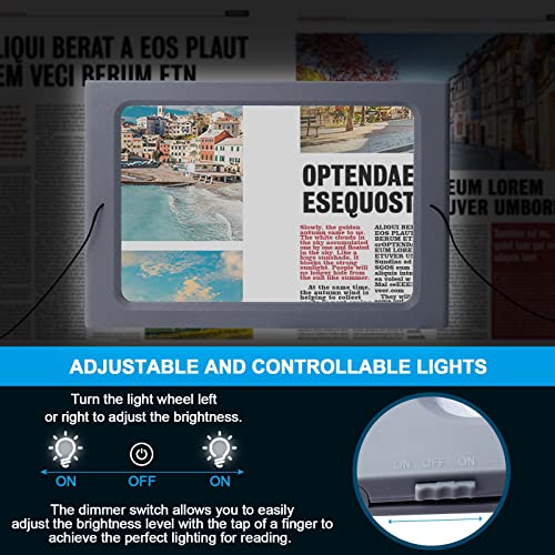 36 LED Dimmable Floor Magnifying Lamp with Stand Y31154