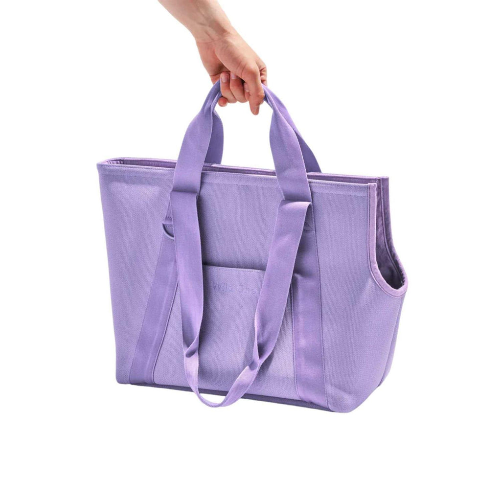Everyday Carrier Y9474