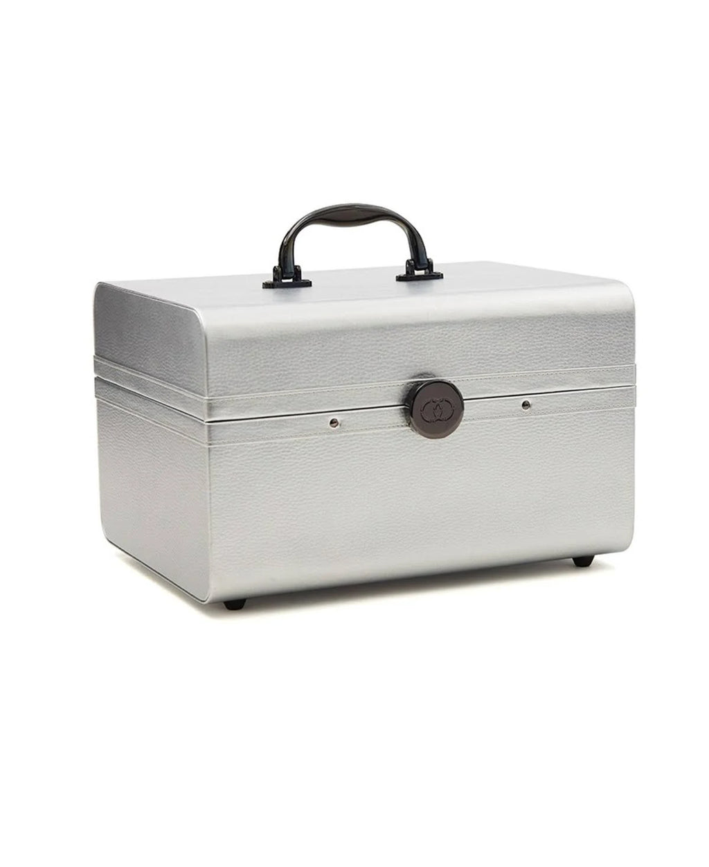 Large Silver Train Case F926