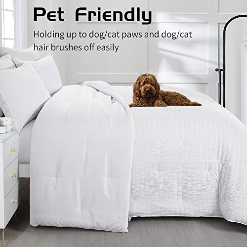 Oversized King White Seersucker Comforter 3 Piece Set A818730