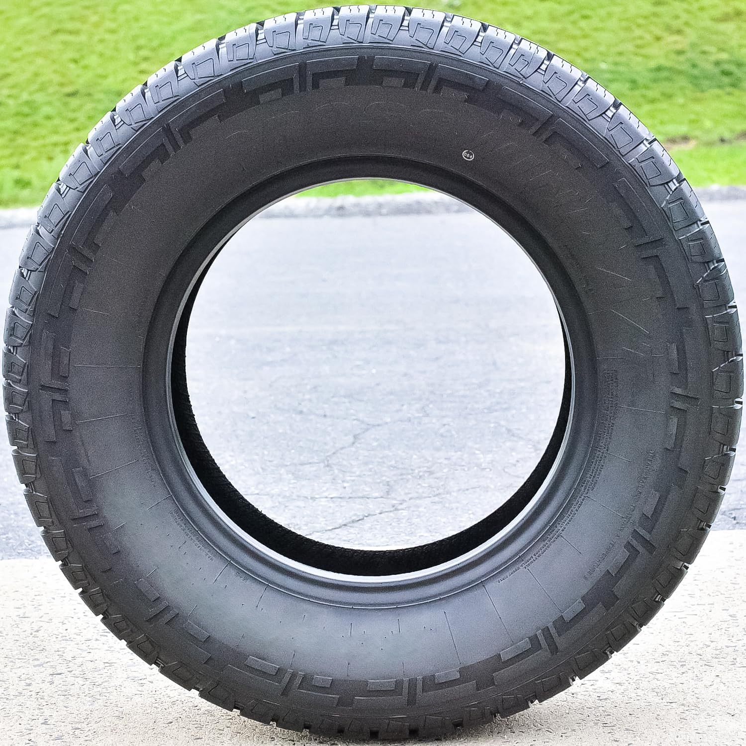 31/10.50R15 109R All-Season Radial Tire D3941