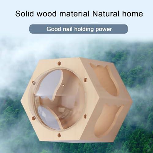 Cat Wall Shelves, Cat Wall Furniture, Cat Bridge Wall Mount Cat Perch, Hammock Cat Tree Cat Climber Set, DIY Combination W4778