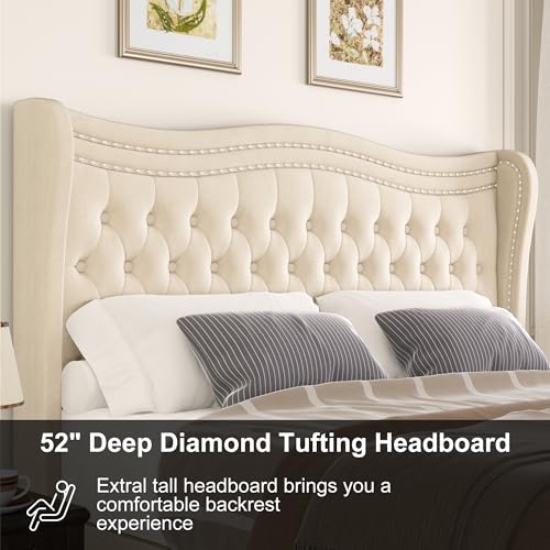 Black Velvet Queen Bed Frame with Headboard K555