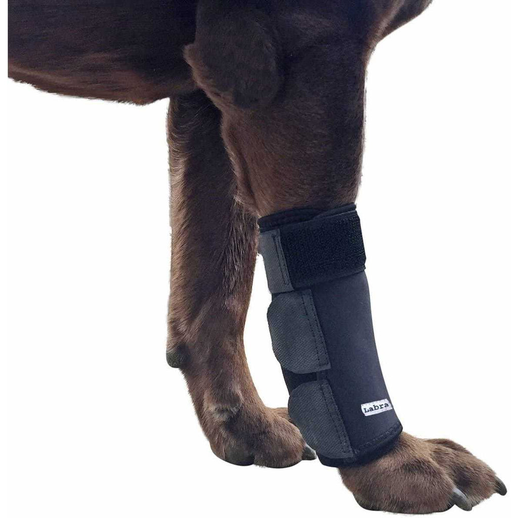 Dog Front Leg Compression Brace Wrap Sleeve A2019