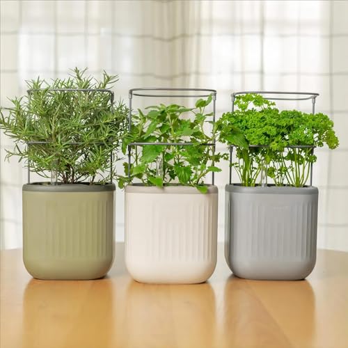Sage Green Self-Watering Indoor Planter with Trellis T1876