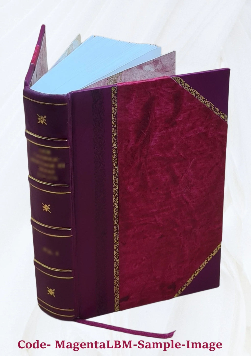 Leather Bound Dictionary W32905