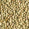 Bulk Green Lentils 25 lbs Q205