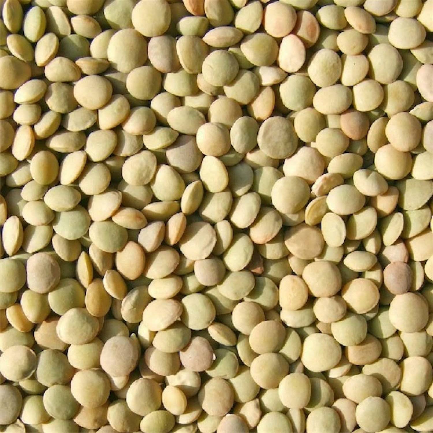 Bulk Green Lentils 25 lbs Q205
