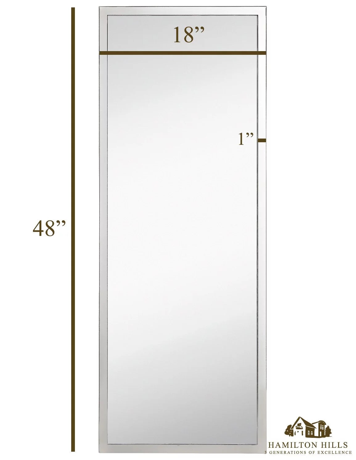 Polished Stainless Metal Silver Rectangle Full Length Wall Mirror (18" x 48") D75991