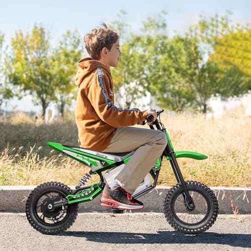 Pink Electric Dirt Bike with 350W Motorcycle O12237