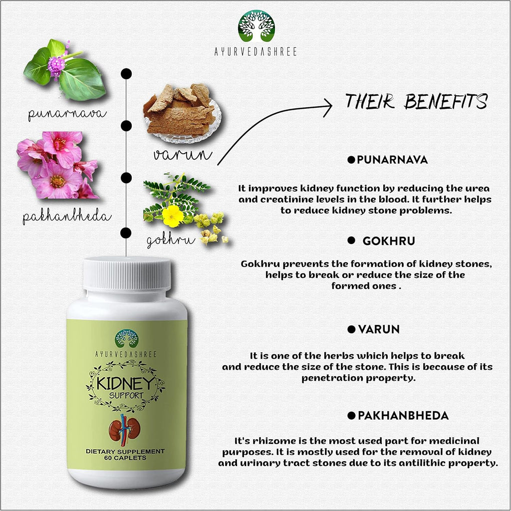 Kidney Support Herbal Supplement Vegan Gluten-Free Caplet 1000 MG T951