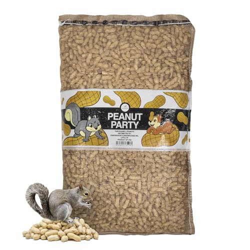 Raw in-Shell Peanuts 25lb B7075
