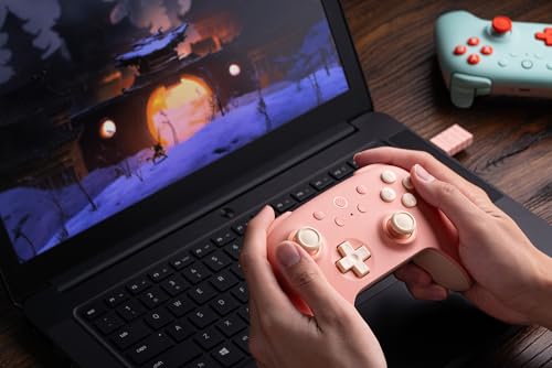 Black Myth: Wukong Wireless Controller with Hall Effect Joysticks O516