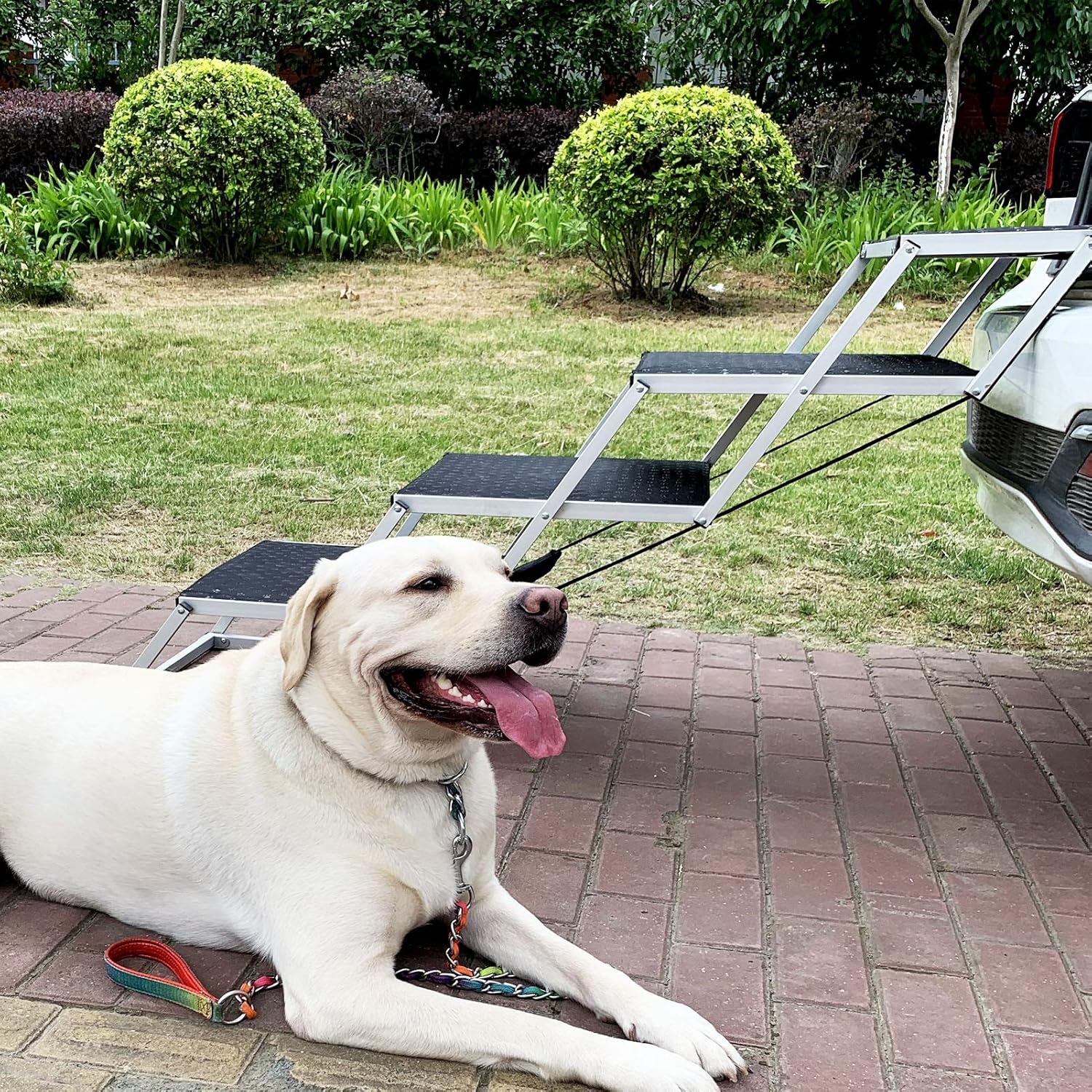 Folding 6 Steps Pet Dog Car Step Stairs Y219