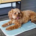 Sage Gray Self Cooling Pet Pad G47179