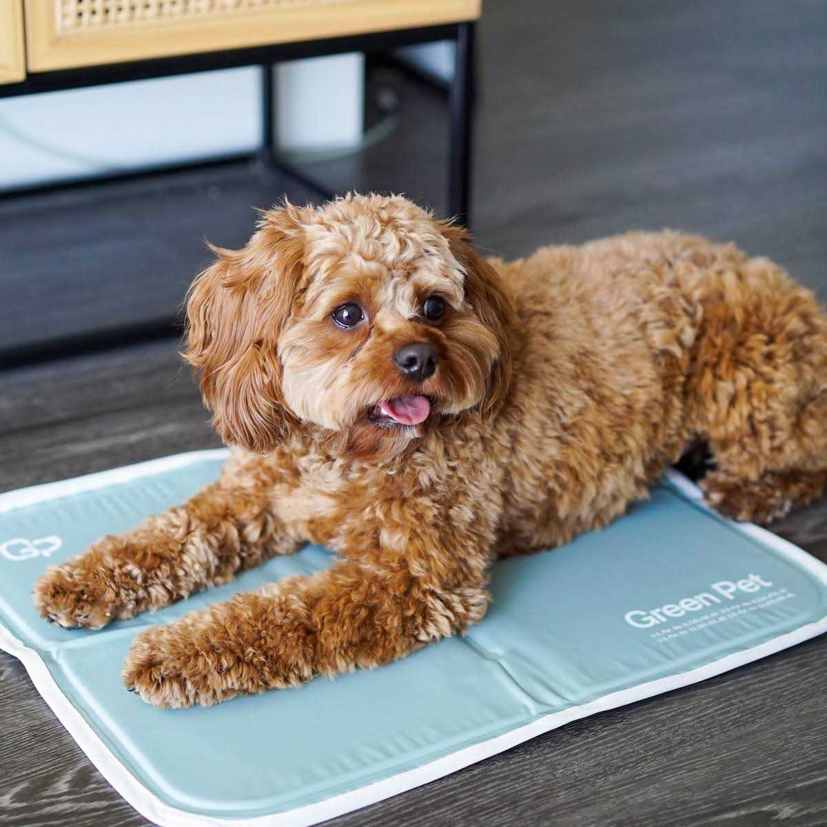 Sage Gray Self Cooling Pet Pad G47179