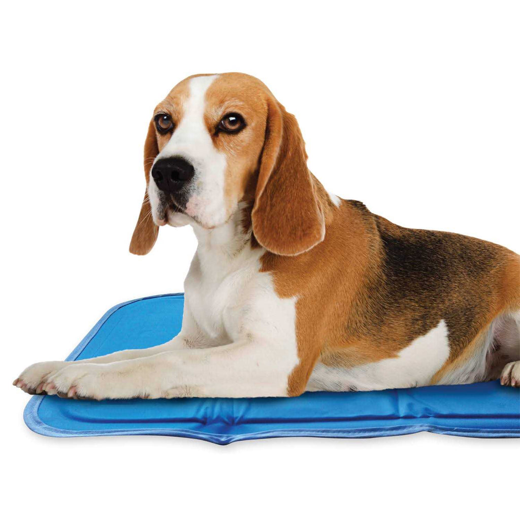 Sage Gray Self Cooling Pet Pad G47179