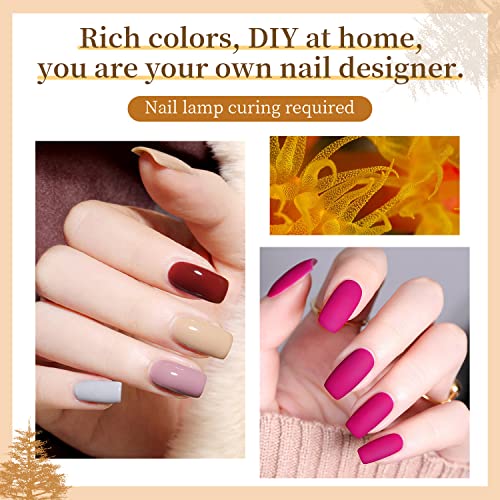 10 Colors Gel Nail Polish Kit with Mini UV LED Nail Lamp Base Coat Top Coat Set D29732