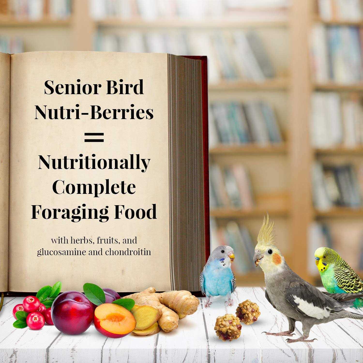 Senior Bird Nutri Berries Parrot Food L966