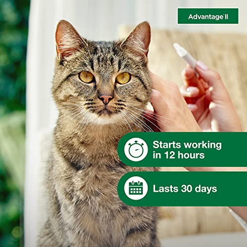 12-Month Supply Flea Treatment for Cats Over 9 lbs. Y270