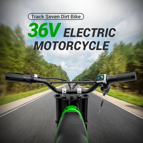 Pink Electric Dirt Bike with 350W Motorcycle O12237