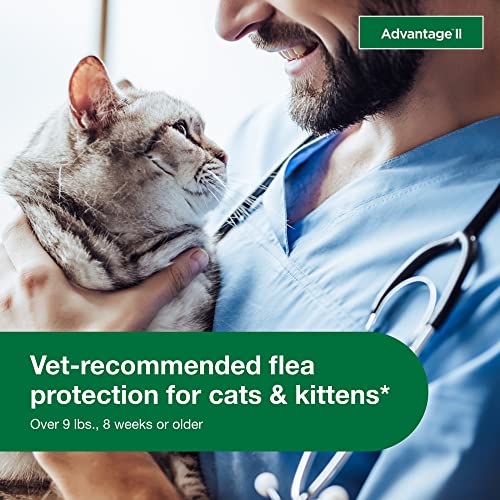 12-Month Supply Flea Treatment for Cats Over 9 lbs. Y270