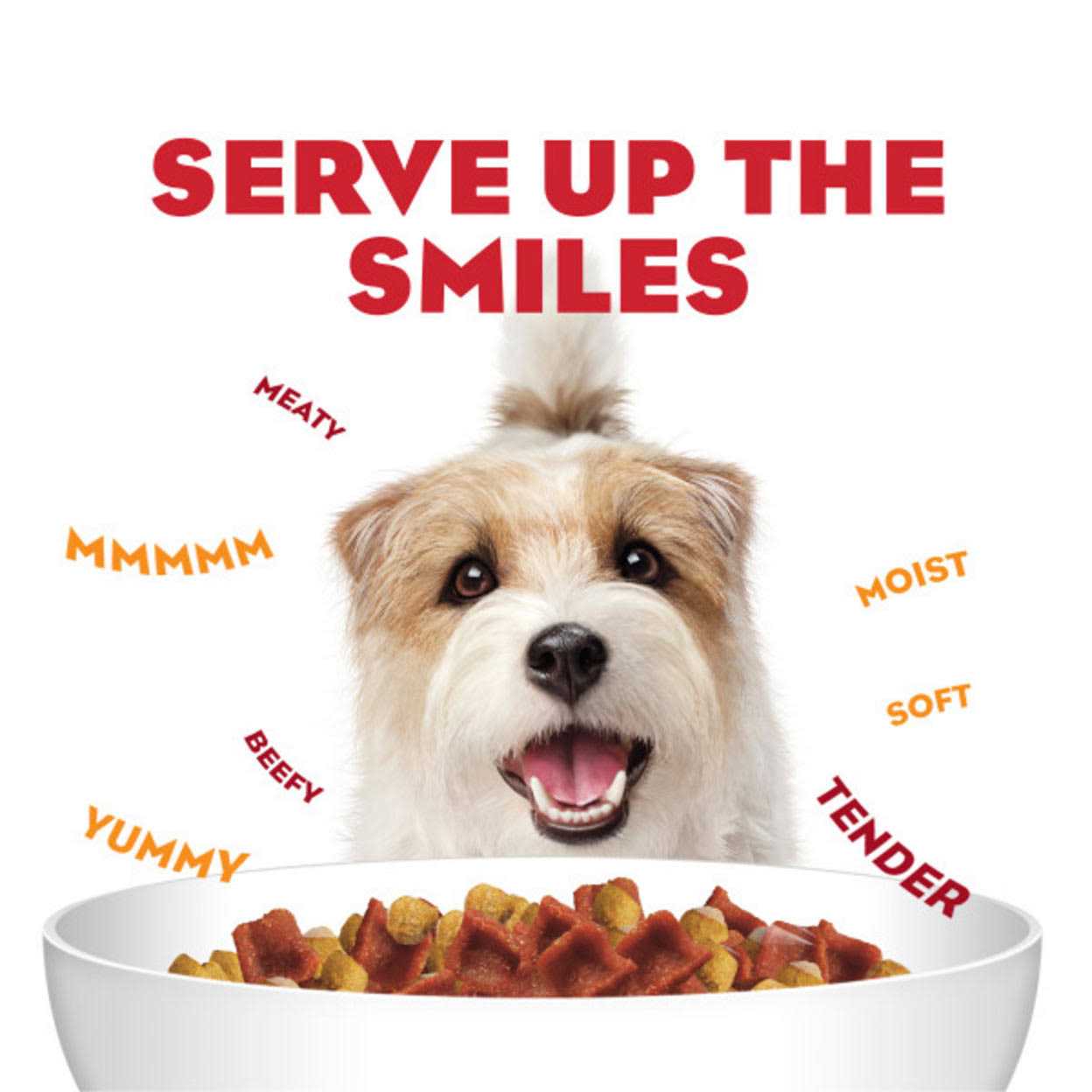 Moist & Meaty Bacon & Egg Flavor Canned Dog Food G382903