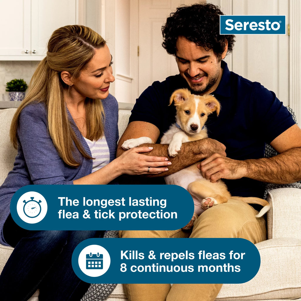 (2 pack) 8-Month Flea & Tick Prevention Collar for Large Dog C76783