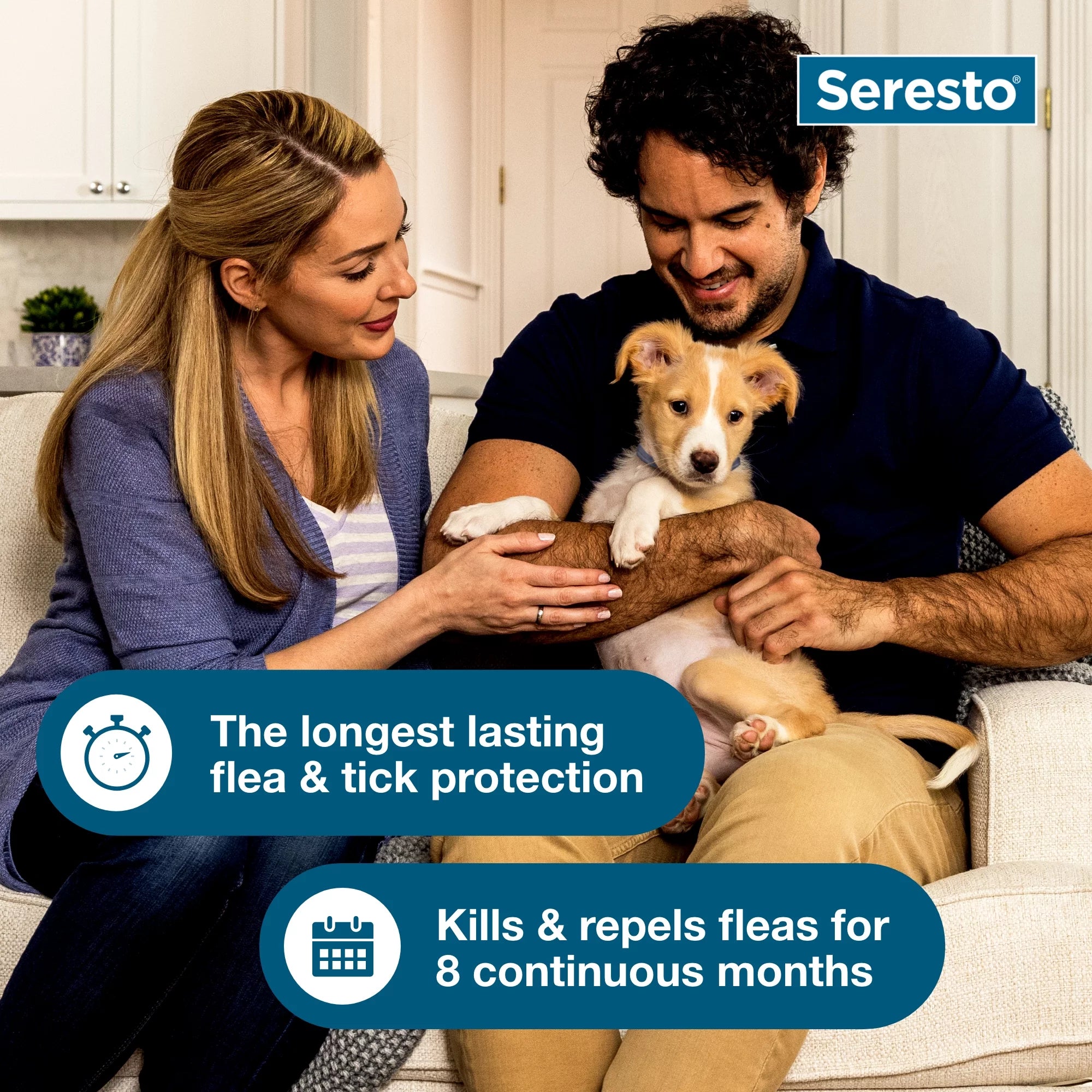 (2 pack) 8-Month Flea & Tick Prevention Collar for Large Dog C76783
