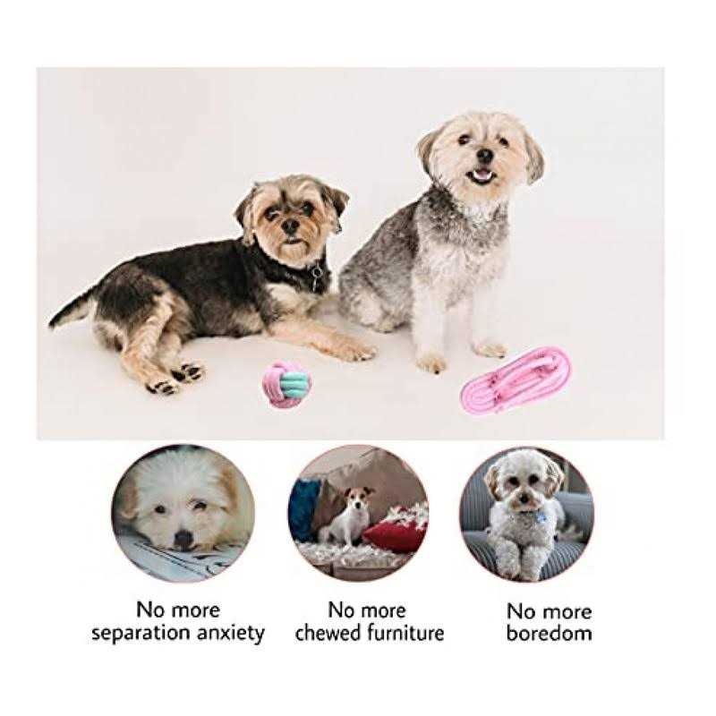 Dog Hanging Bungee Tug Toy Interactive Tether Tug-of-War J7426