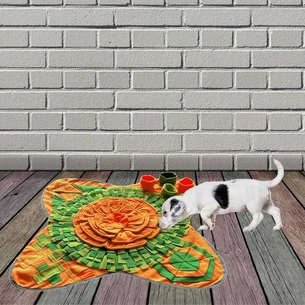 Snuffle Interactive Dog Feeding Mat G987176