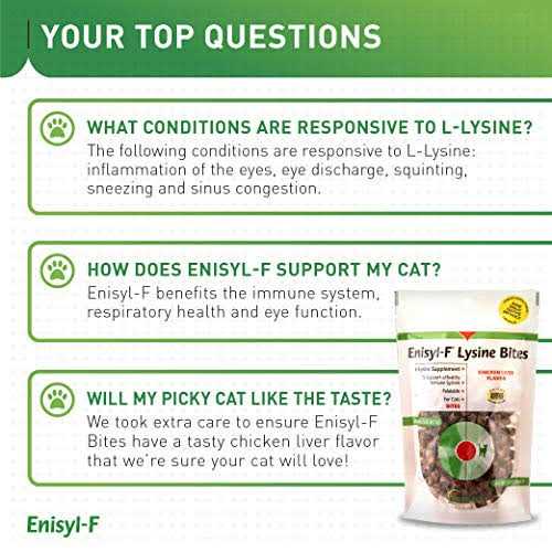 L-Lysine Chews for Cats V60426