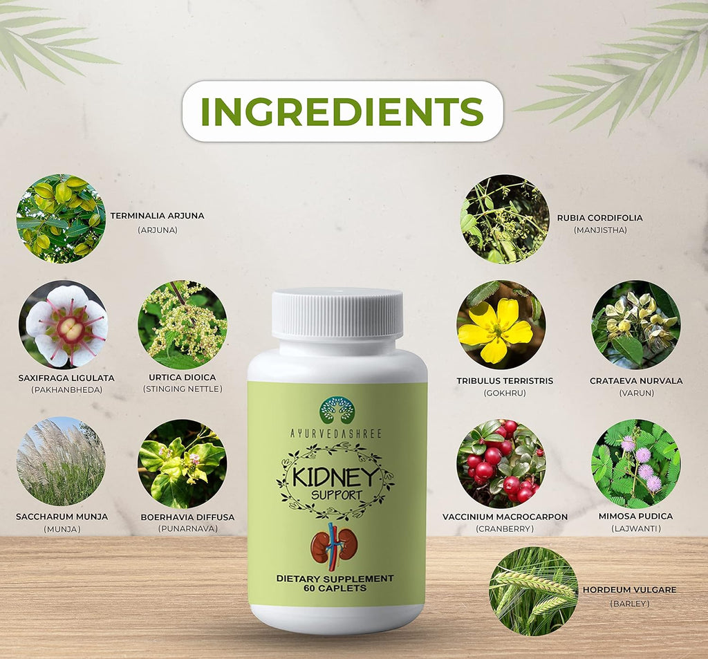 Kidney Support Herbal Supplement Vegan Gluten-Free Caplet 1000 MG T951