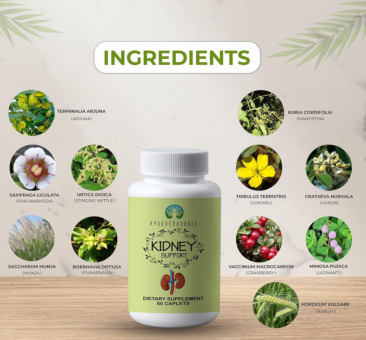 Kidney Support Herbal Supplement Vegan Gluten-Free Caplet 1000 MG T951