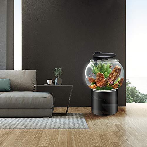 Large Bowl-Shaped Aquarium with LED Light Display M6753