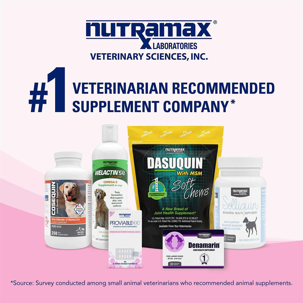 Proviable Health Supplement Kit Dogs D741
