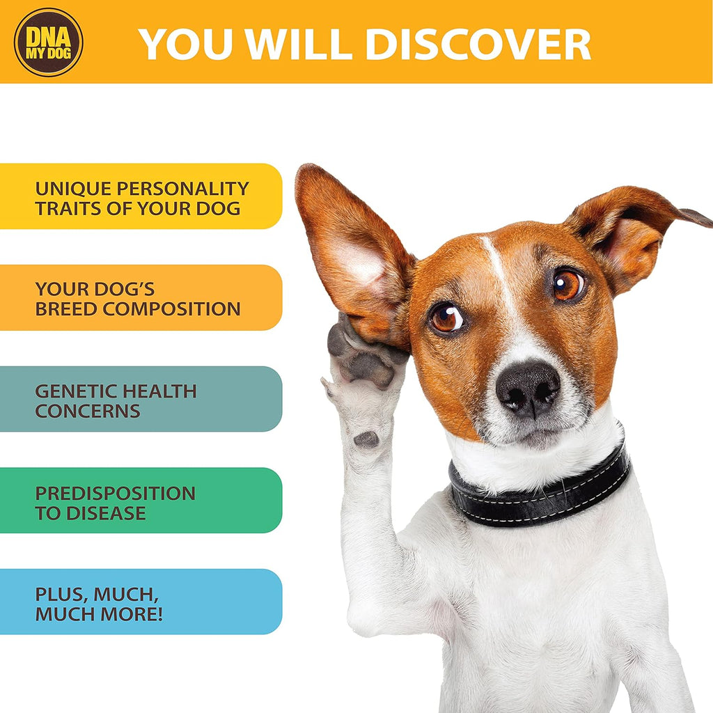 Canine Breed Identification Test J990431