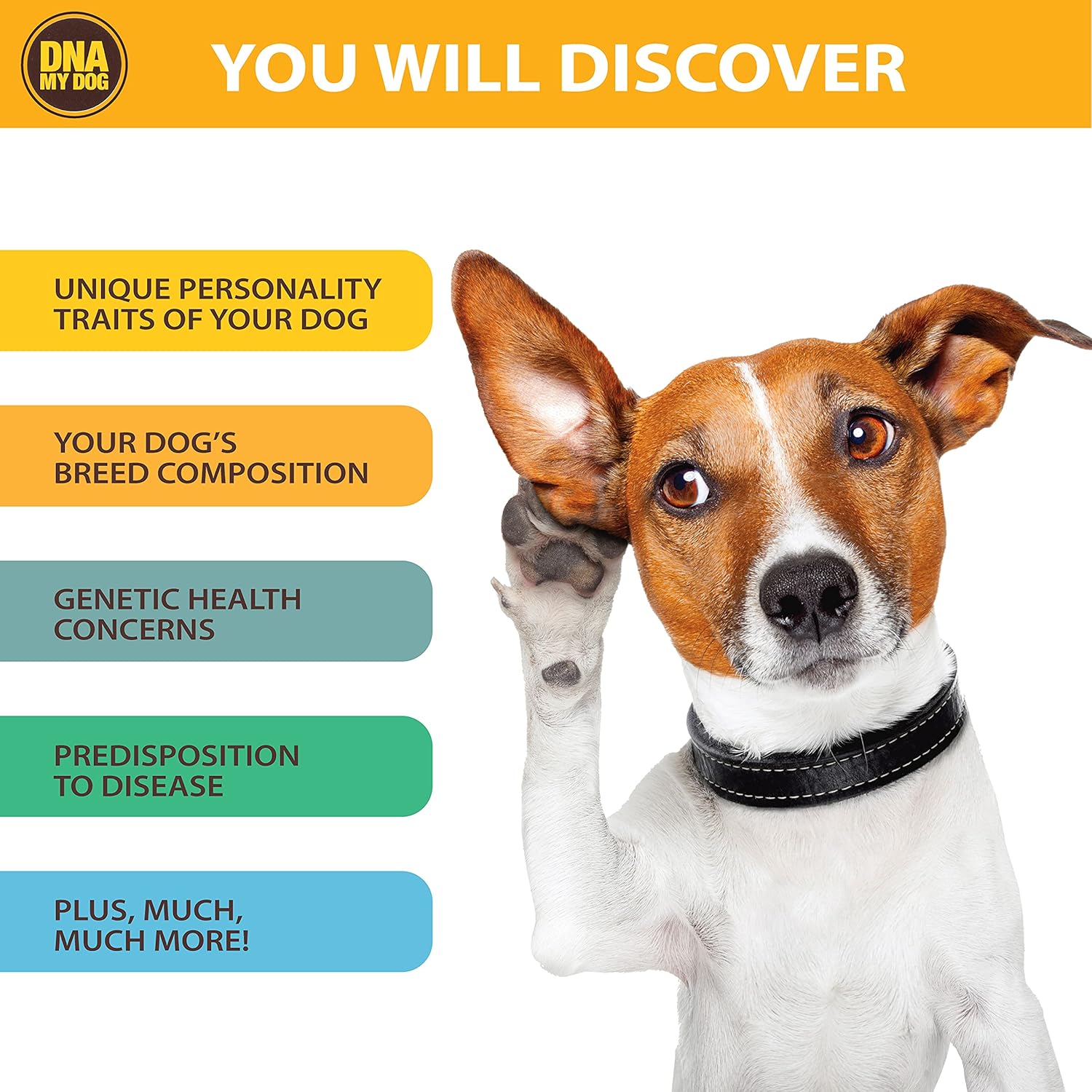 Canine Breed Identification Test J990431