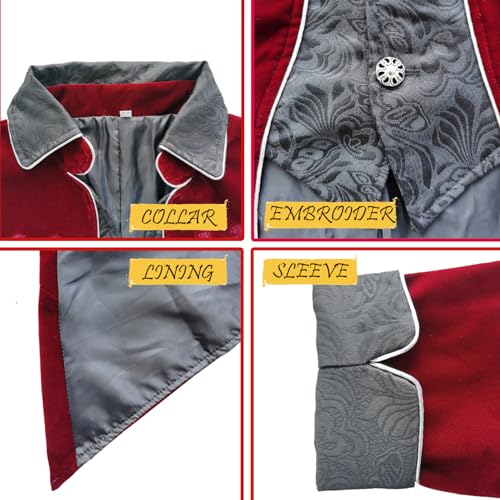 Medieval Steampunk Tailcoat Halloween Costumes Jacket S815