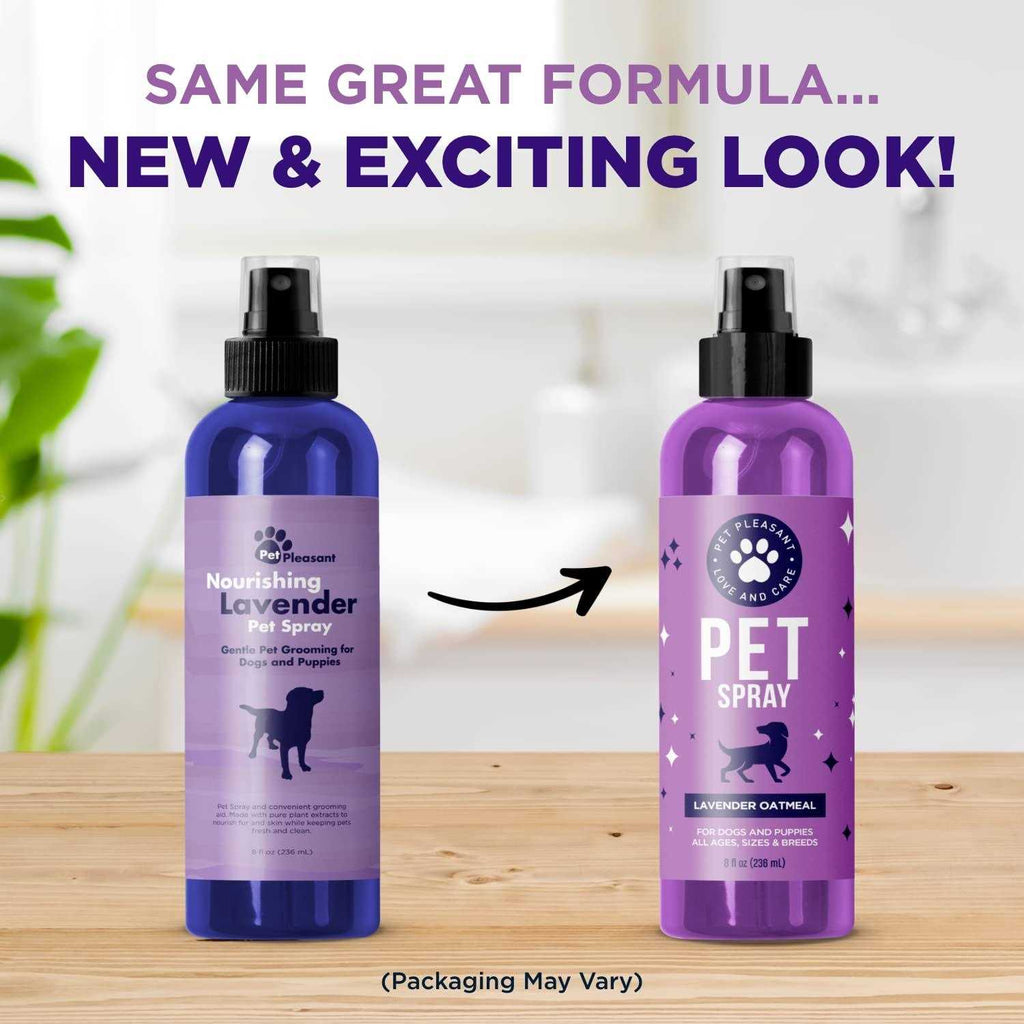 Lavender Oil Dog Deodorizing Spray Q698