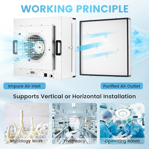 Laminar Flow Hood with H-14 HEPA Filter, 22.6x22.6in, 110V G954780