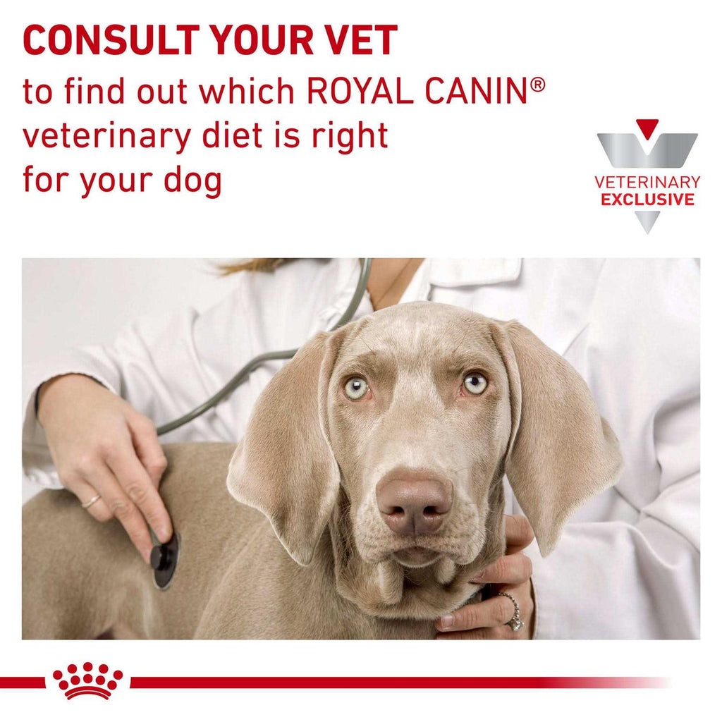 Veterinary Diet Canine Hydrolyzed Protein Adult PS Dry Dog Food R437097