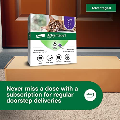12-Month Supply Flea Treatment for Cats Over 9 lbs. Y270