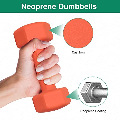 Neoprene Dumbbell Pairs 2LB 3LB 5LB 8LB 10LB L57711