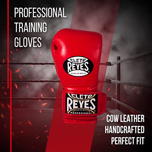 Training Boxing Gloves with Hook and Loop Closure S3796