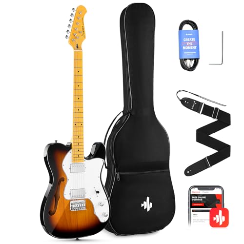 39 Inch Full Size Hollow Electric Guitar with H-H Pickups N264