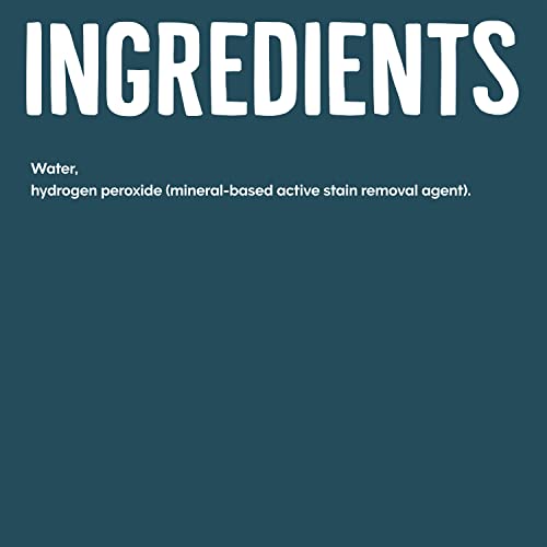 Non-Chlorine Bleach, 64 Fl Oz J5359