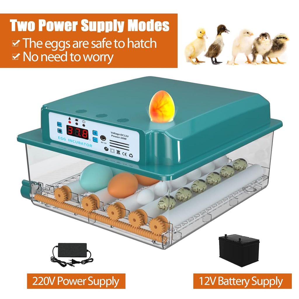 16 Eggs Incubator with Automatic Egg Turning, Temperature Humidity Control, LED Candler, Adjustable Egg Tray Y143