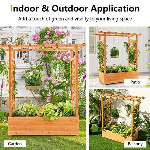 Raised Garden Bed with Arch Trellis Wood Planter Box O8000