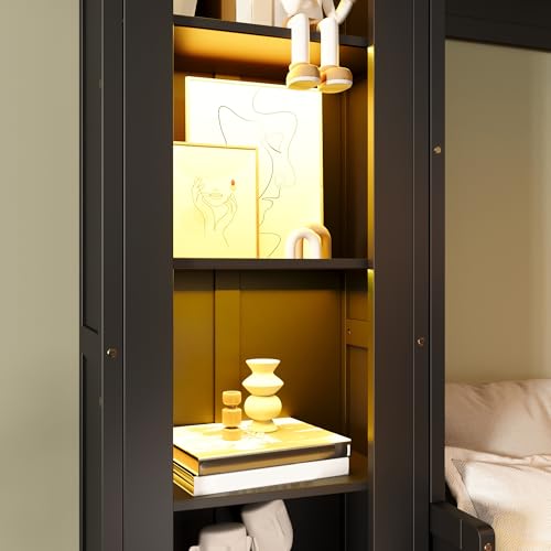 Queen Size Murphy Bed with Desk, 2 Sides Storage Cabinets, Shelf, Black Y529